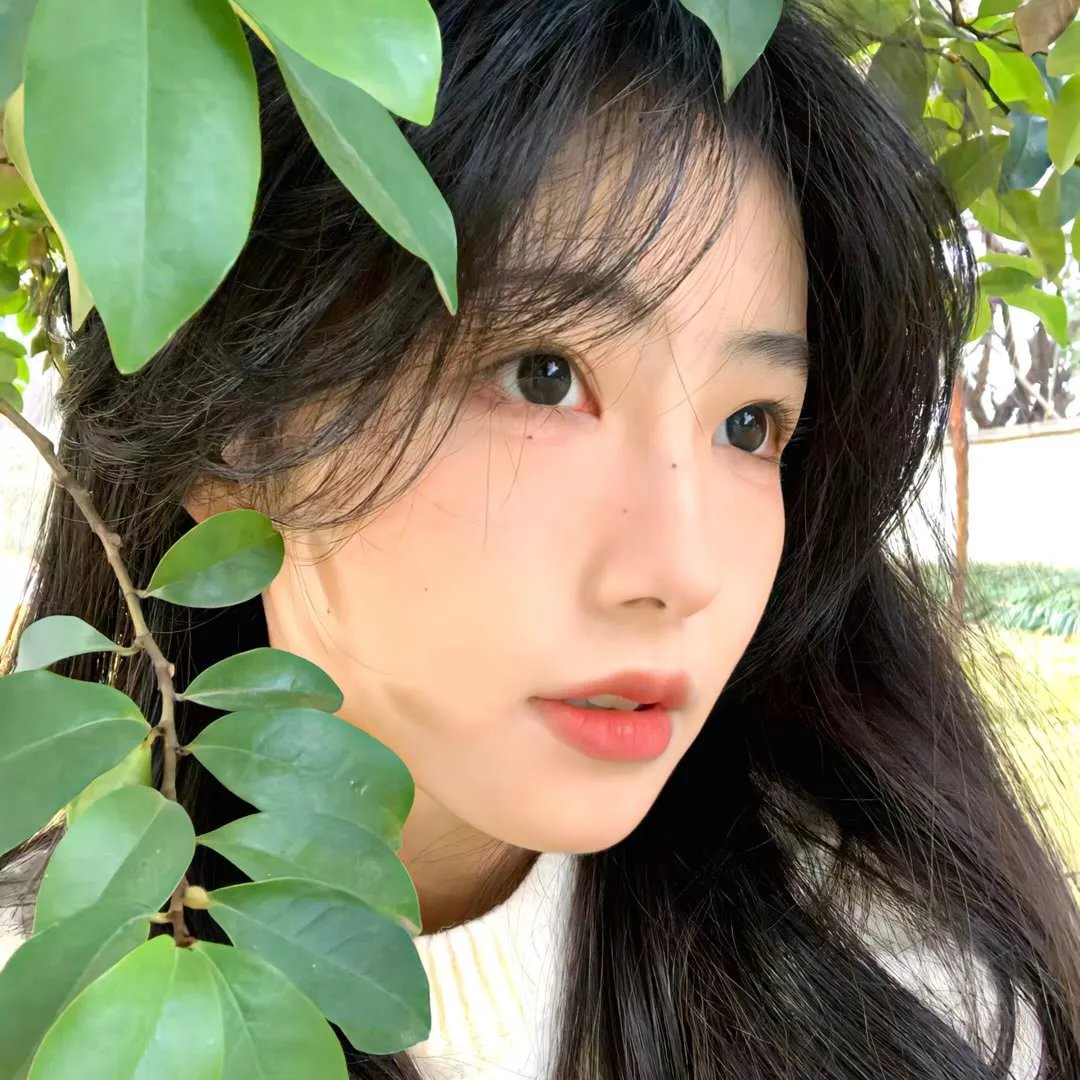 高度机密